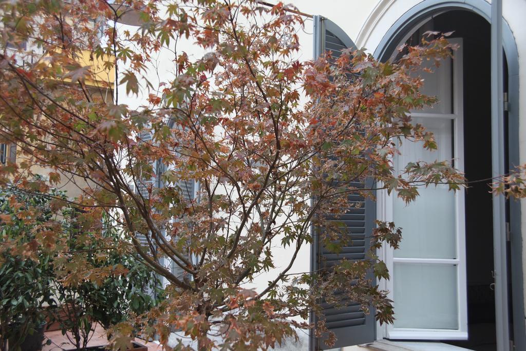Mia Bb Acomodação com café da manhã Roma Exterior foto